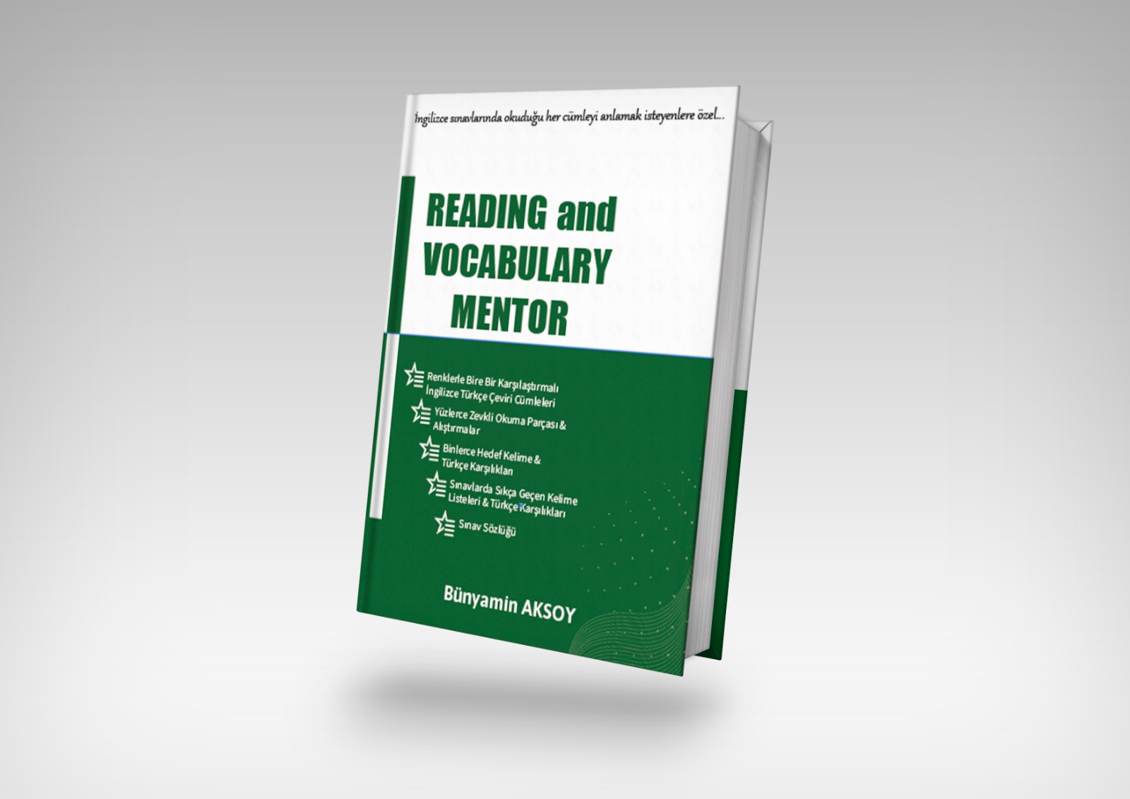 Reading and Vocabulary Mentor görsel 2